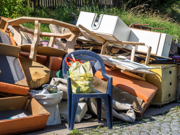 Yard Cleanup Services in New York Mills, MN