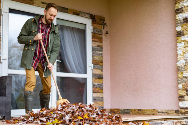 Best Basement Cleanout Services  in New York Mills, MN